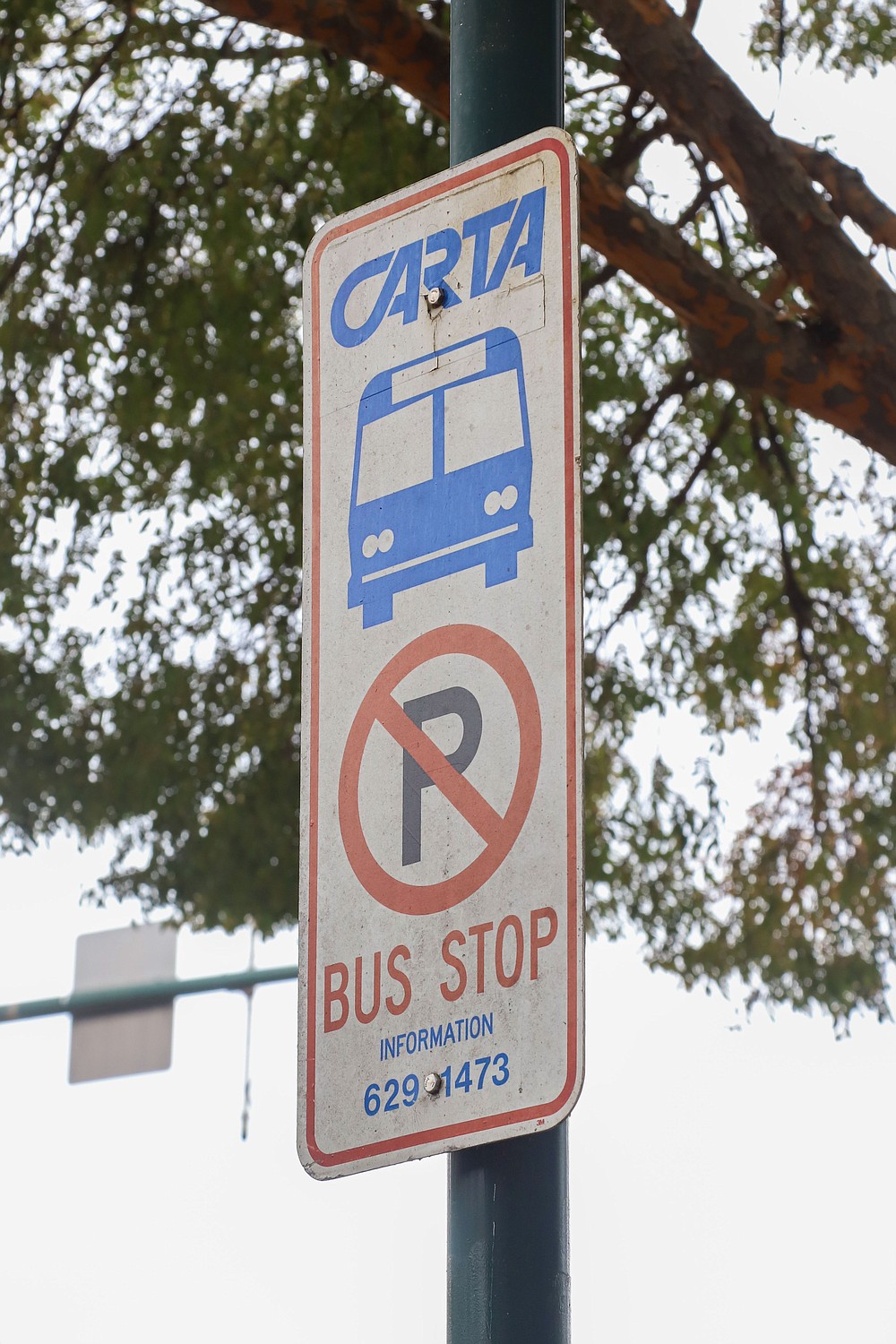 Unlike most public transit in the region, CARTA passengers limited to