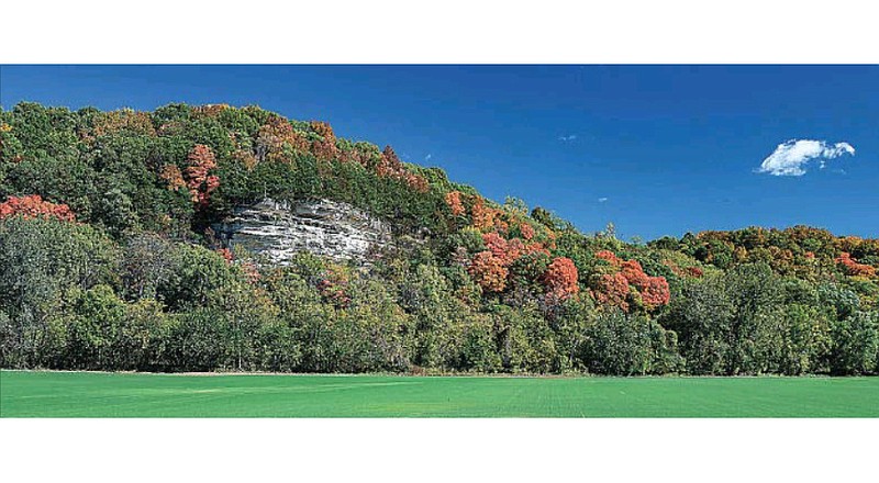 The color of the trees on the bluffs along U.S. 63 north of Jefferson City becomes more vivid every day. (Julie Smith/News Tribune photo, October 2023)