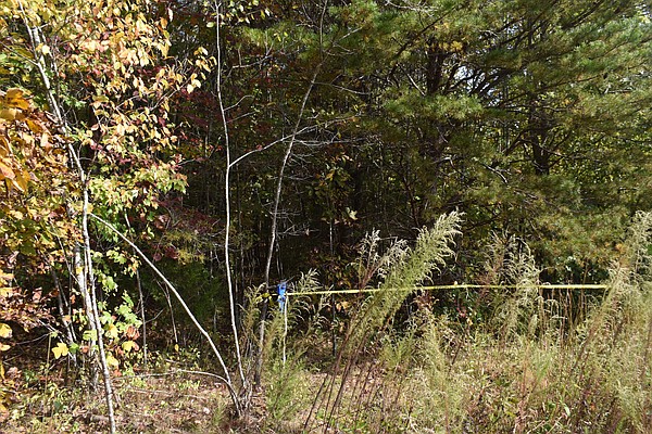 Forensic autopsy under way after hunters find human remains off Highway 30 in McMinn County - Vimarsana News