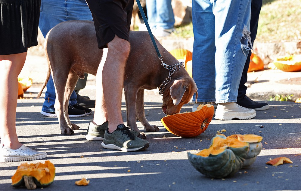 Hillcrest Pumpkin Roll The Arkansas DemocratGazette Arkansas' Best