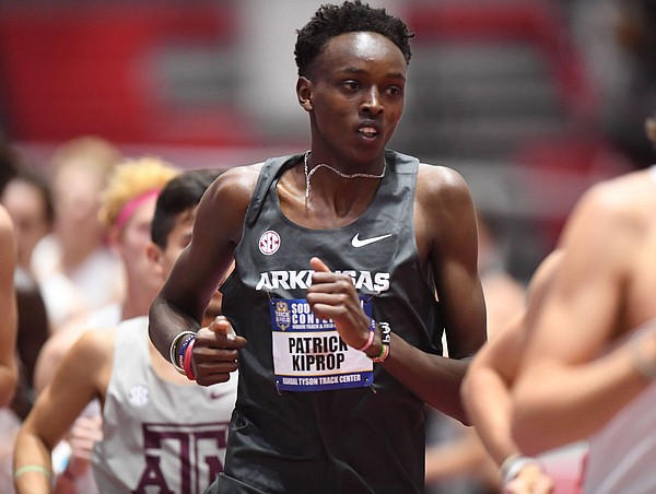 UA cross country teams at home for regionals | The Arkansas Democrat-Gazette - Vimarsana News