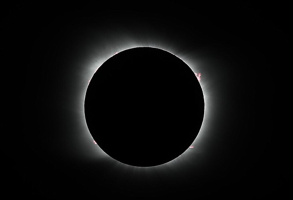 Past solar eclipses startled Arkansans, bugs and birds | Northwest Arkansas Democrat-Gazette - Vimarsana News