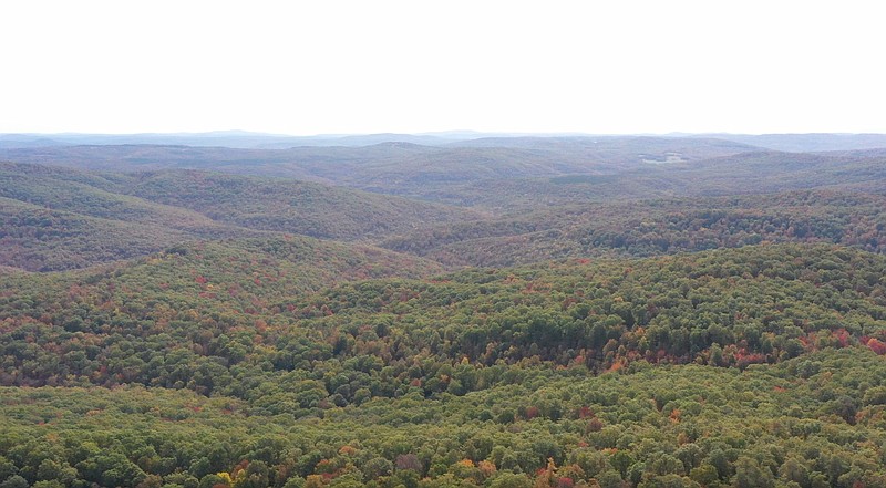 The Ozark National Forest in Newton County is shown in this undated courtesy photo. The highest peak in the Ozark Mountains has been named Wahzhazhe Summit at the request of the Osage Nation, according to the U.S. Geological Survey. A news release from the Osage Nation Historic Preservation Office says the geographic peak, locally known as Buffalo Lookout, is located in the tribe's ancestral homelands. (Courtesy photo provided by Osage Nation, osagenation-nsn.gov/)