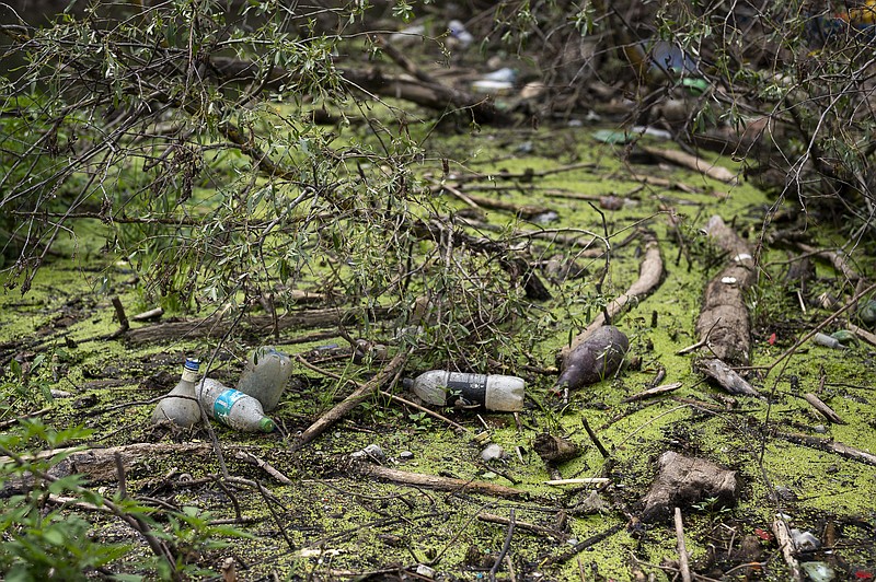 FILE - Muddy plastic bottles have flowed downstream and become lodged against fallen trees and within the dense foliage in Tisza River near Tiszaroff, Hungary, Aug. 1, 2023.  (AP Photo/Denes Erdos, File)