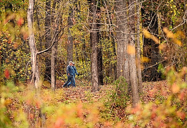 More sections of Burns Park reopen after storm damage | The Arkansas Democrat-Gazette - Vimarsana News