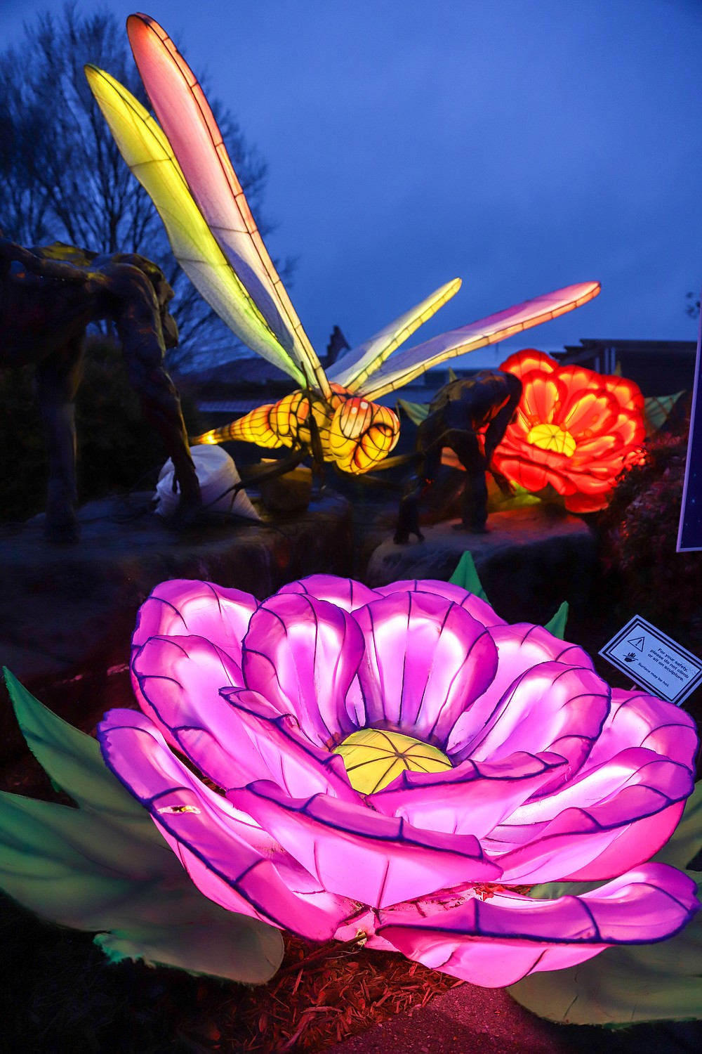 The Asian Lantern Festival at the Chattanooga Zoo Chattanooga Times