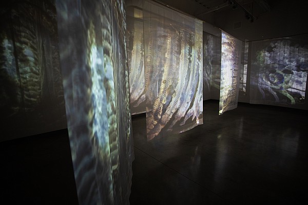UAFS artist in residence considers herbicide effects in pop-up exhibition | Northwest Arkansas Democrat-Gazette - Vimarsana News