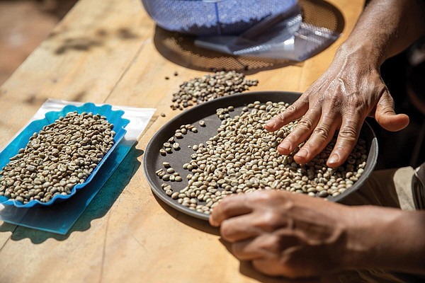 Local demand, smaller crop bind Vietnam's coffee supply | The Arkansas Democrat-Gazette - Vimarsana News