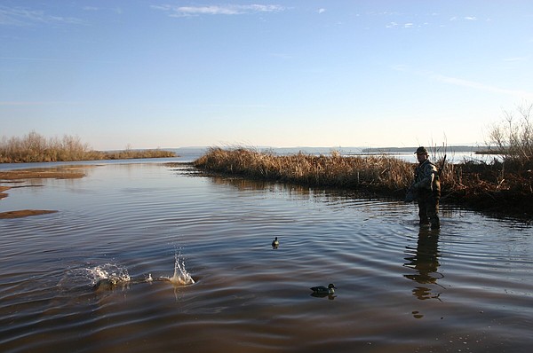 Go ye to Frog Bayou | The Arkansas Democrat-Gazette - Arkansas' Best News Source - Vimarsana News