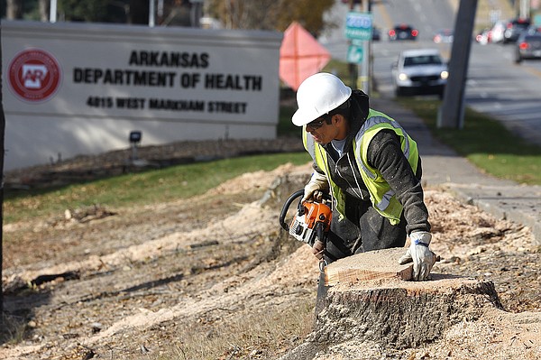 Ten trees removed near state Health Department headquarters in Little Rock | Northwest Arkansas Democrat-Gazette - Vimarsana News