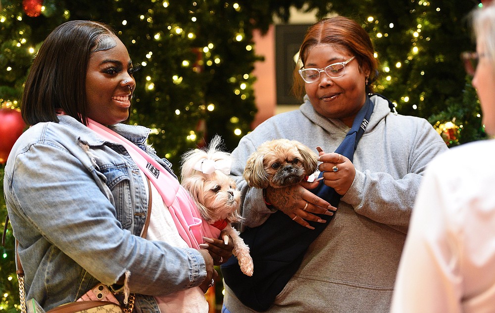 Pets meet Santa at Hamilton Place Mall Chattanooga Times Free Press