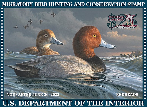 Boozman s duck stamp bill heads to White House The Arkansas