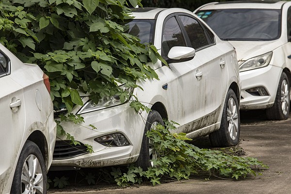 Drivers shunning used electric cars | The Arkansas Democrat-Gazette - Arkansas' Best News Source - Vimarsana News