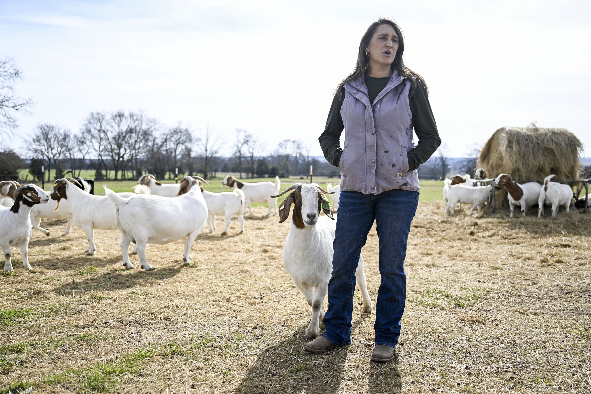 Sheep, goat producers in state get backers