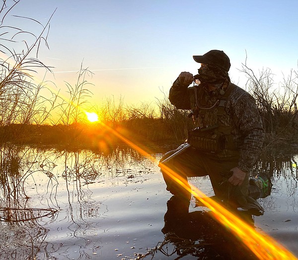 Goose storm | The Arkansas Democrat-Gazette - Arkansas' Best News Source - Vimarsana News