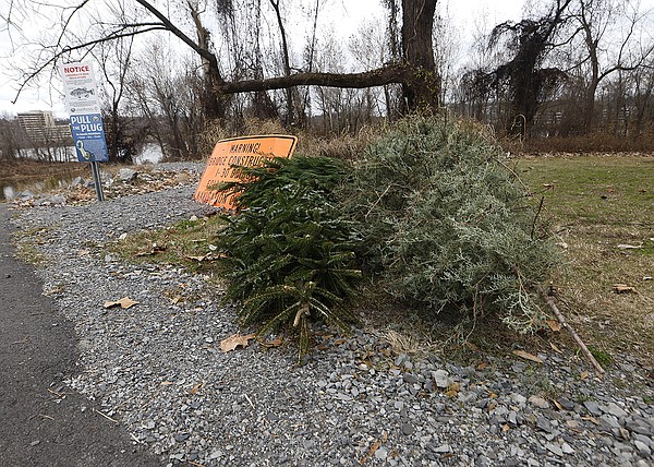 Fish habitat an option for disposing of Christmas tree | The Arkansas Democrat-Gazette - Vimarsana News
