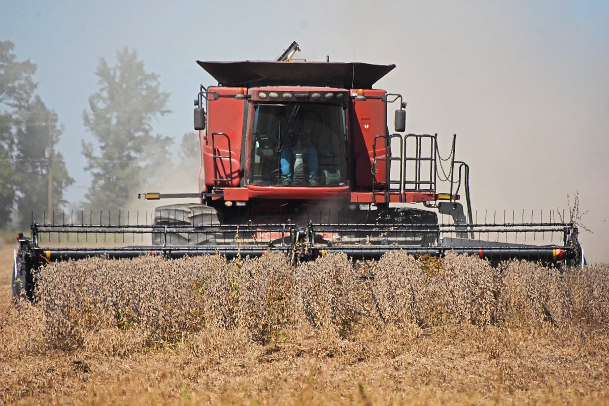 Arkansas soybean farmers will gain from deal with China, but experts warn of further challenges