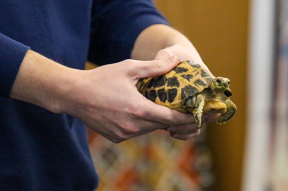 Chattanooga Zoo animals visit Eastgate Library Chattanooga Times Free