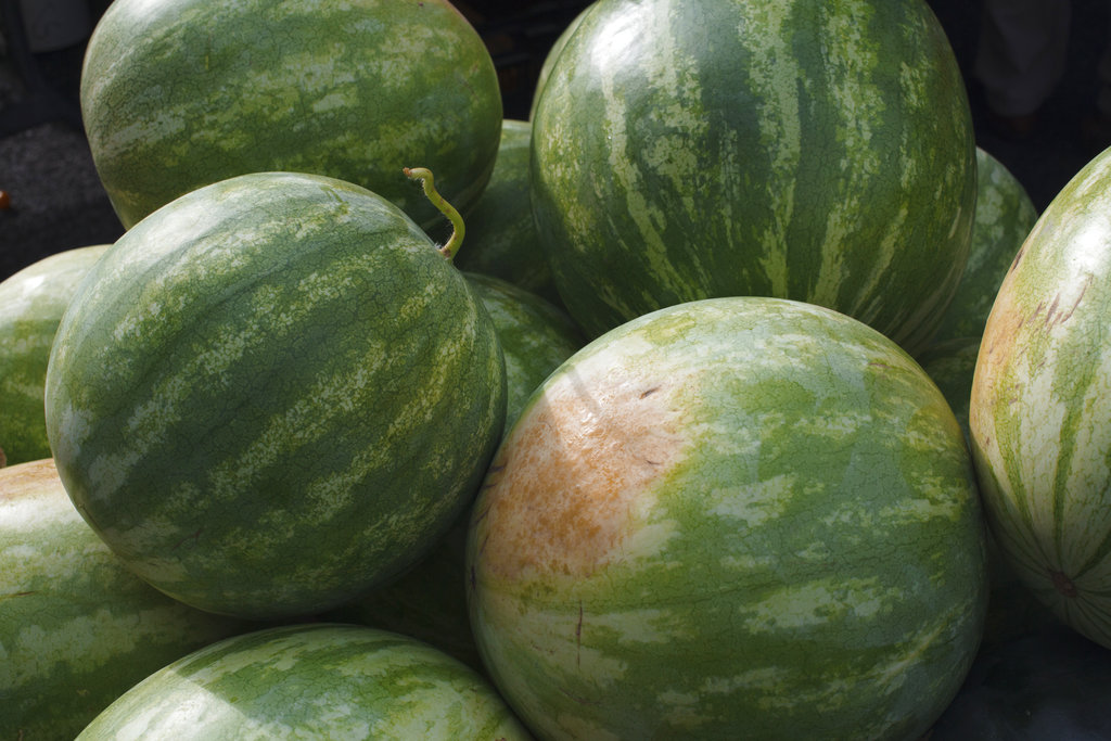 Watermelon seminar to be held