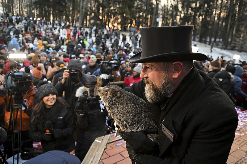 The origins of Groundhog Day and Punxsutawney Phil Chattanooga Times