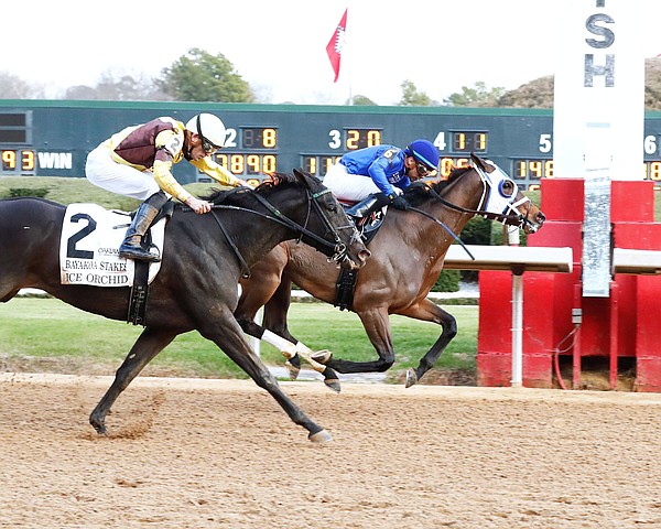 Comparative continues to turn heads with win | The Arkansas Democrat-Gazette - Vimarsana News