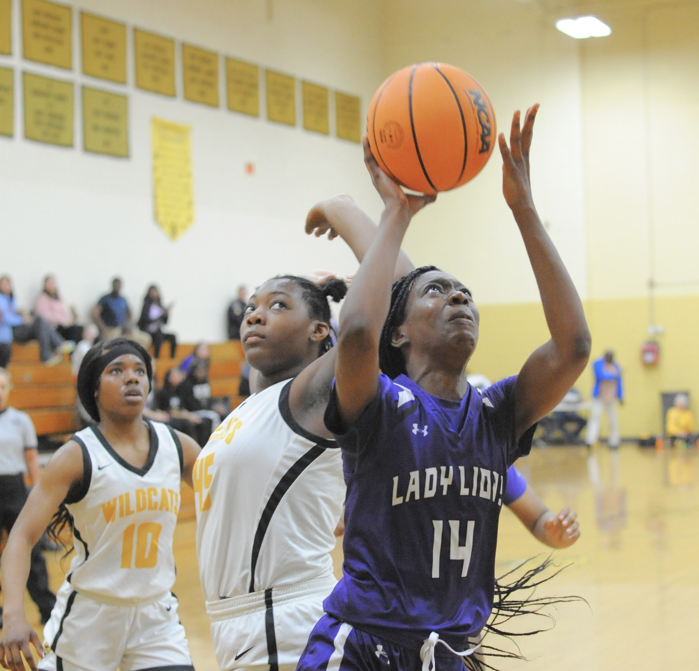 Hamburg girls edge Watson Chapel, split 4A-8 title