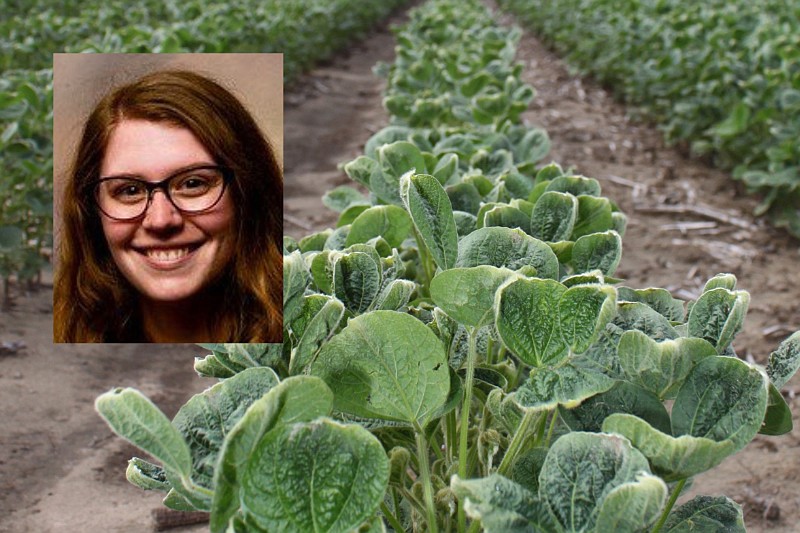 Arkansas Plant Board considers future of dicamba regulations