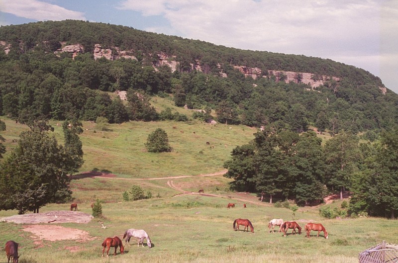A portion of Horseshoe Canyon Ranch in Newton County is shown in this June 2004 file photo. (Arkansas Democrat-Gazette file photo)