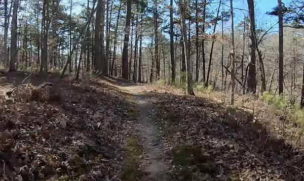 WATCH: NWA Trails - Sawtooth and Timberjack at Hobbs State Park | Northwest Arkansas Democrat-Gazette - Vimarsana News