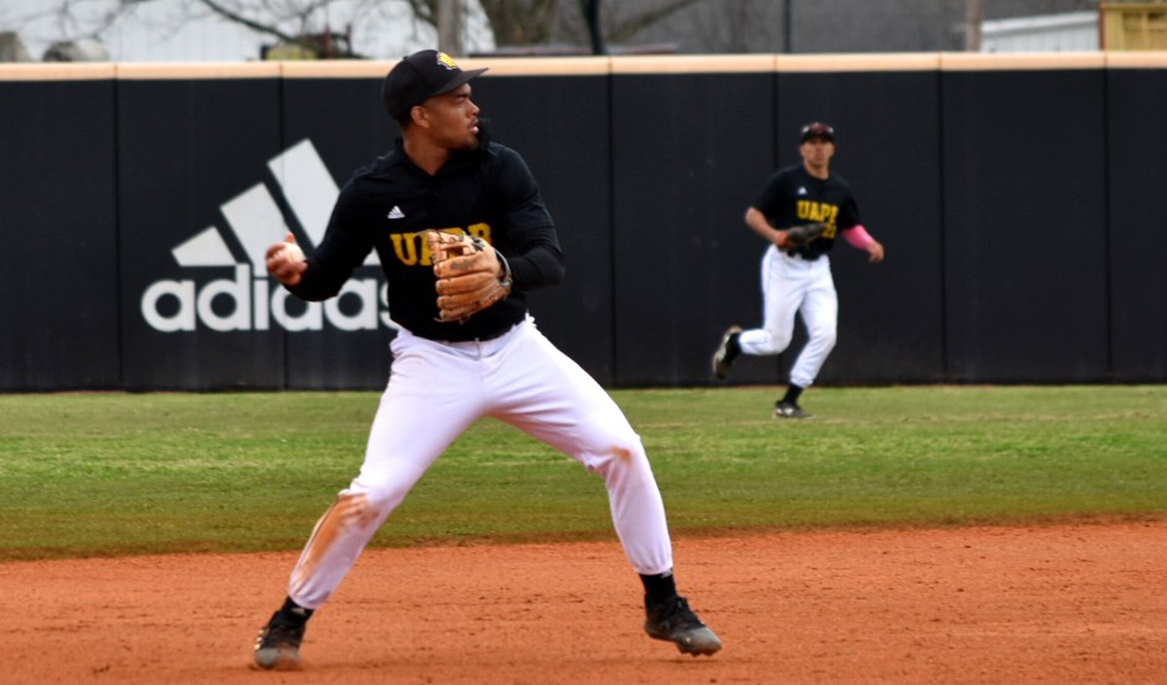 UAPB baseball to begin Stout era
