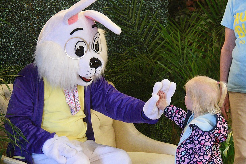 Staff photo by Matt Hamilton / Cleveland resident Maggie Purser, 3, visits the Easter Bunny during the Hug a Bunny event at the Chattanooga Zoo on April 7, 2023. The annual event will take place 9 a.m.-5 p.m. Friday-Saturday.