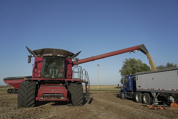 King crop corn drawing challenge | Northwest Arkansas Democrat-Gazette - Vimarsana News