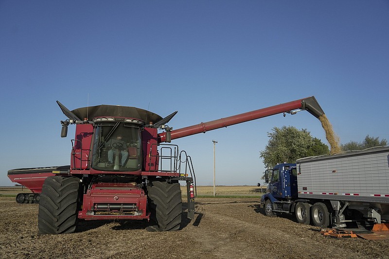 A combine deposits soybeans in a trailer during the October harvest at a farm near Allerton, Ill.
(AP)
