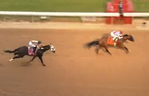 Bob's house: Muth delivers record 5th Arkansas Derby win for Baffert | Northwest Arkansas Democrat-Gazette - Vimarsana News