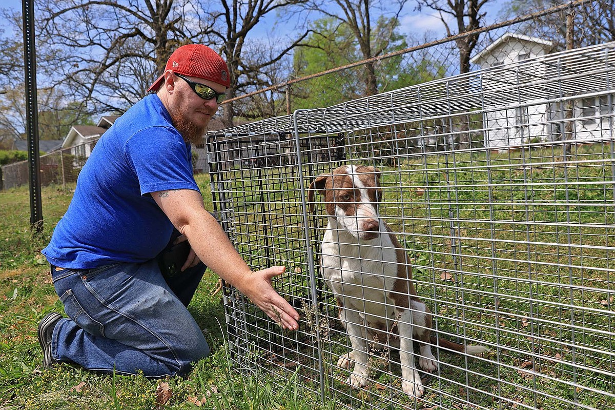 Crooks prey on owners of lost pets in state | The Arkansas