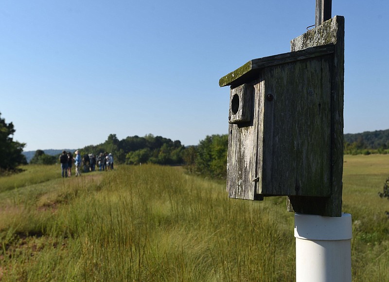 Bluebird boxes, maintained by Northwest Arkansas Master Naturalists, are situated around the pond levee..(NWA Democrat-Gazette/Flip Putthoff)