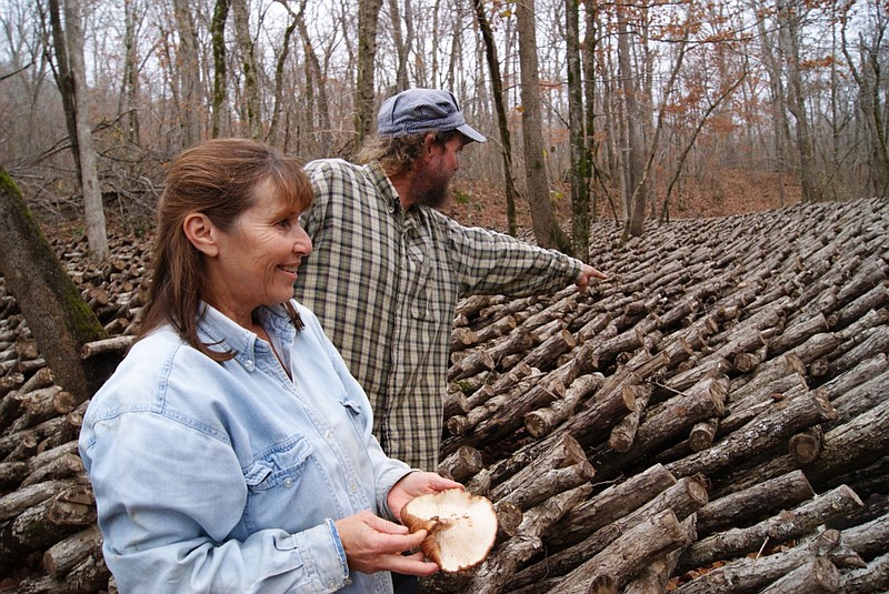 Carol Anne Rose cradles a newly harvested shiitake mushroom stalk as her husband, Curly Miller, points out new mushrooms at their Sweden Creek Farm in Kingston, Madison County, in this January 2009 file photo. The Northwest Arkansas Land Trust announced Thursday, April 4, 2024, that it has entered into a conservation easement with Rose to continue Sweden Creek Farm’s agricultural heritage in perpetuity. Rose and her husband, who died in 2013, ran their 90-acre forest farming operation for more than 30 years, according to an April 2024 news release. (NWA Democrat-Gazette file photo)