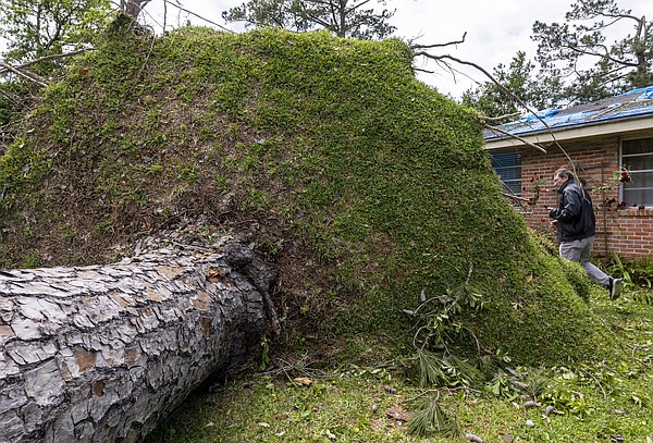 Severe weather spreads across nation's Southeast | Northwest Arkansas Democrat-Gazette - Vimarsana News