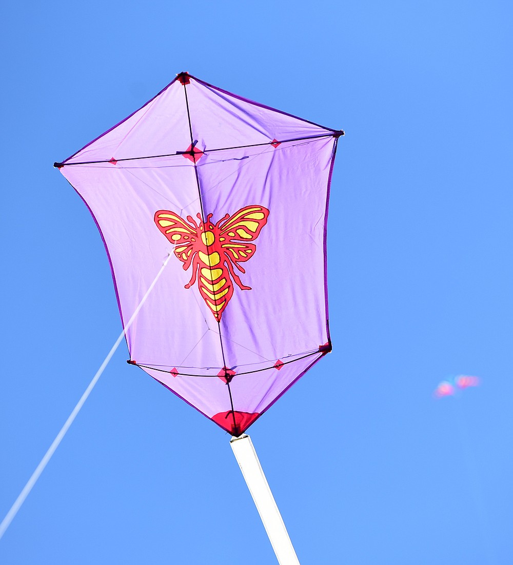 Kite flying at Montague Park's Sculpture Fields Chattanooga Times