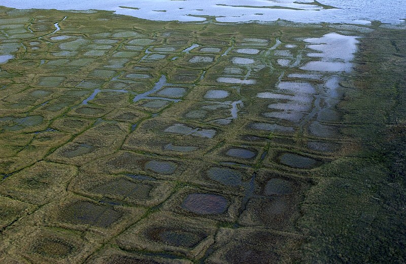 In this undated photo provided by the United States Geological Survey, permafrost forms a grid-like pattern in the National Petroleum Reserve-Alaska, managed by the Bureau of Land Management on Alaska’s North Slope.
(AP/United States Geological Survey/David W. Houseknecht)