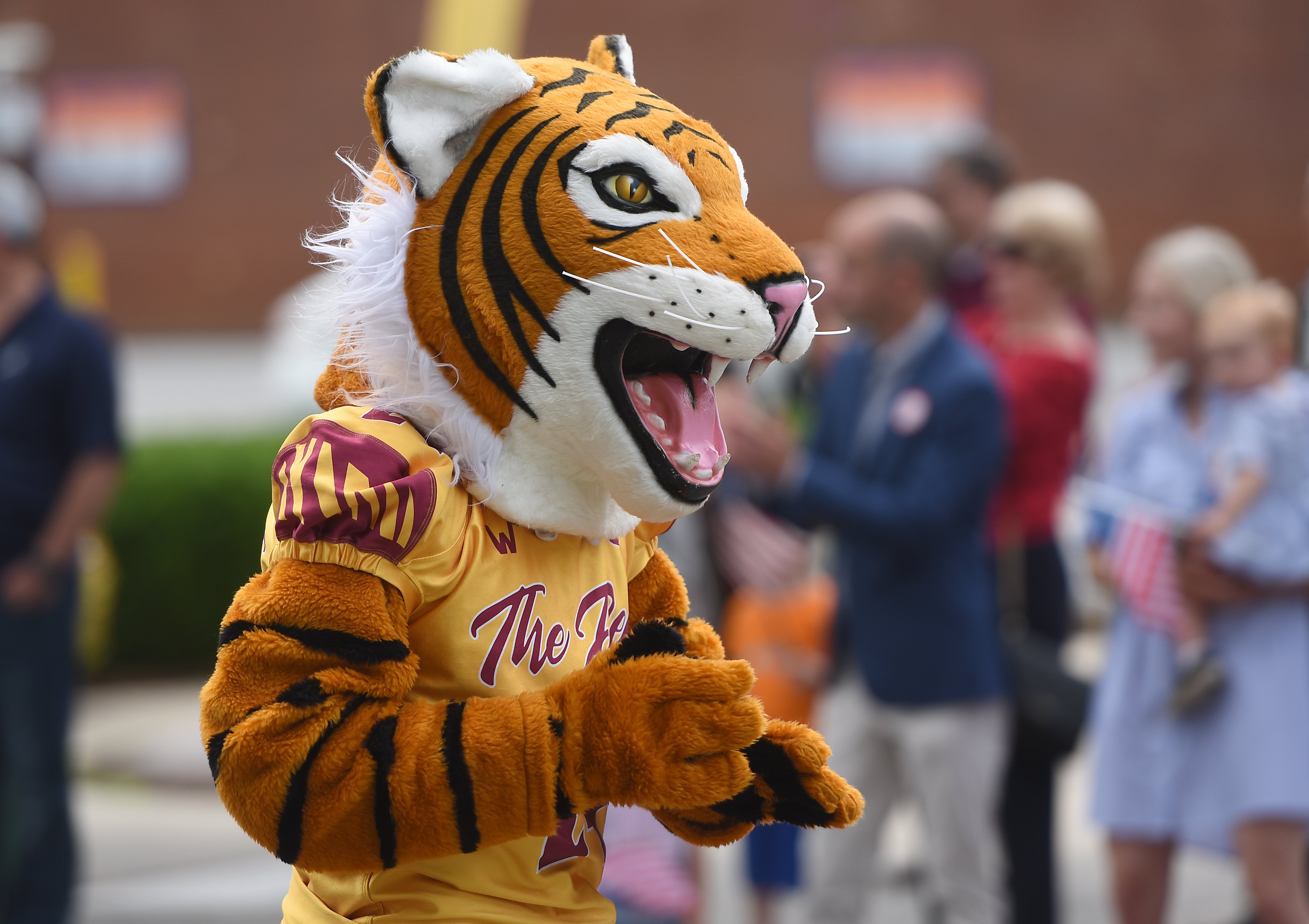 Staff photo by Matt Hamilton/ The Howard School mascot leads the band during the 75th Armed Forces Day Parade on Friday, May 3, 2024.