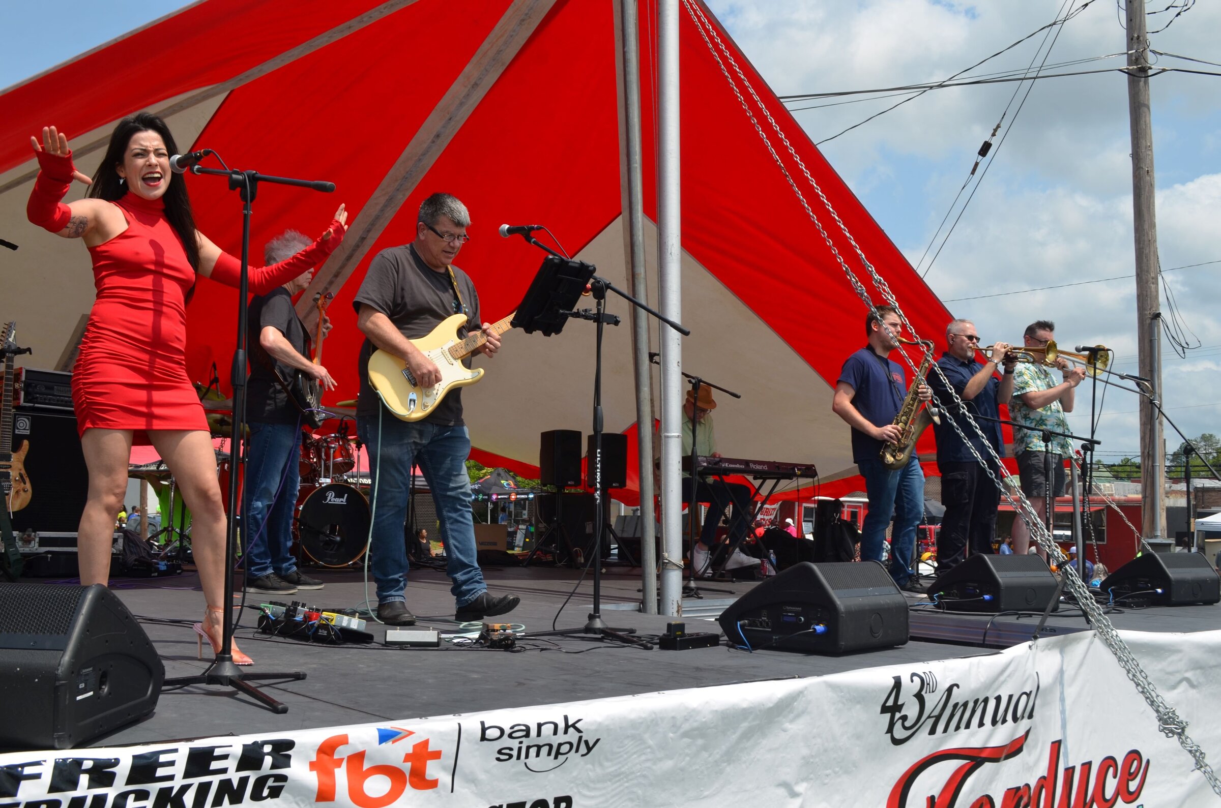 Fordyce festival saw record crowds