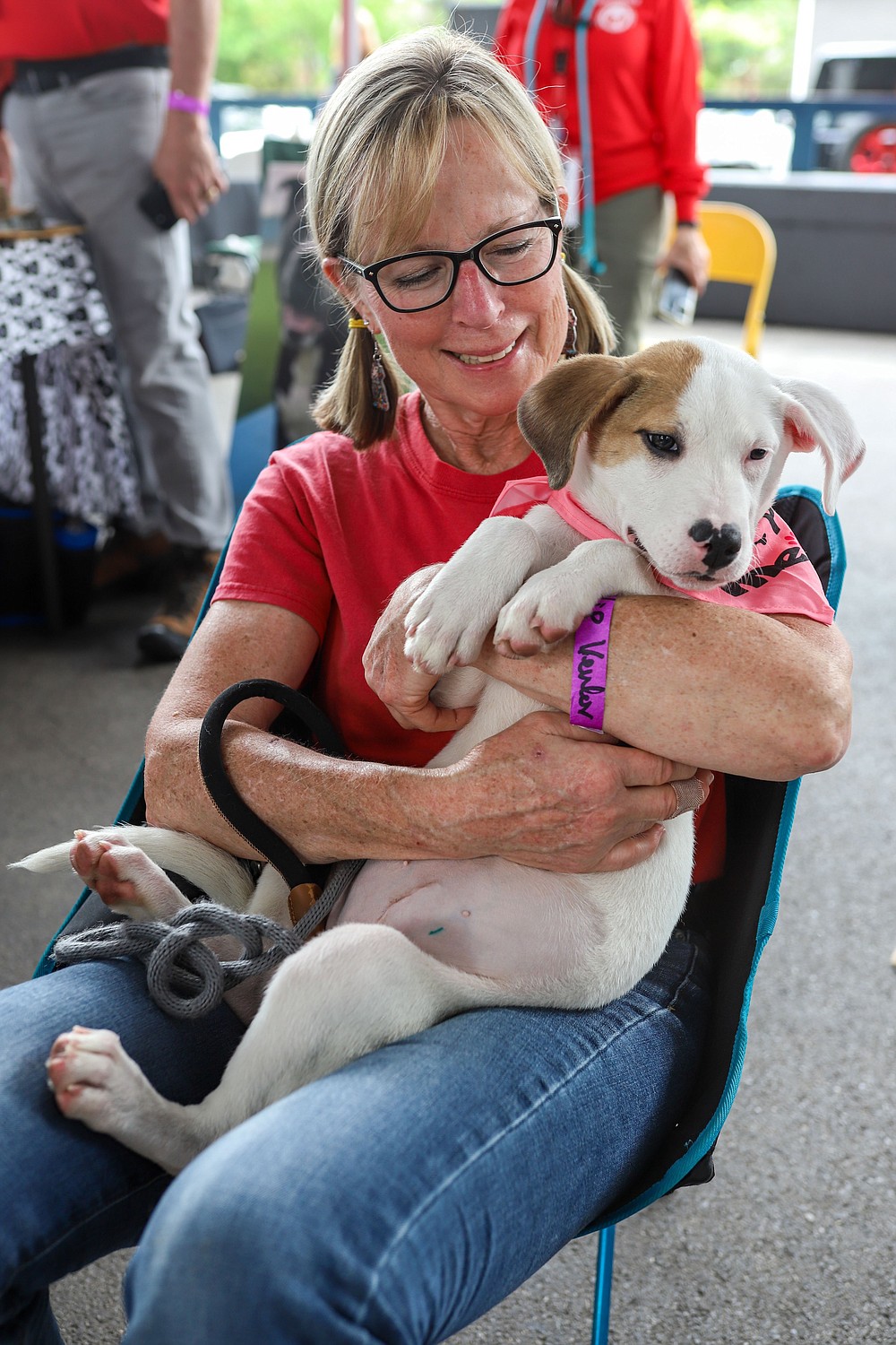 Running of the Chihuahuas at First Horizon Pavilion Chattanooga Times