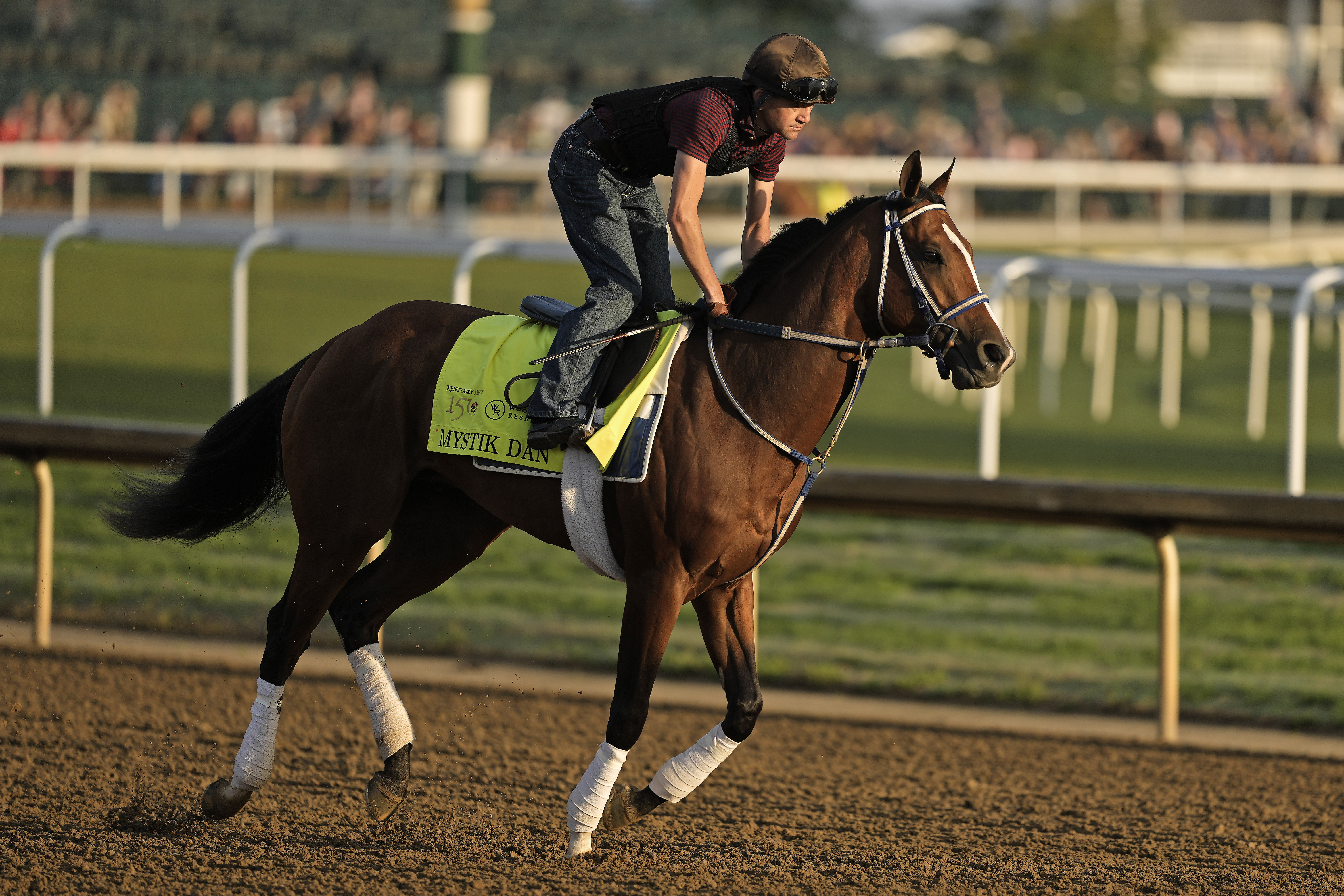 Mystik Dan in running for win