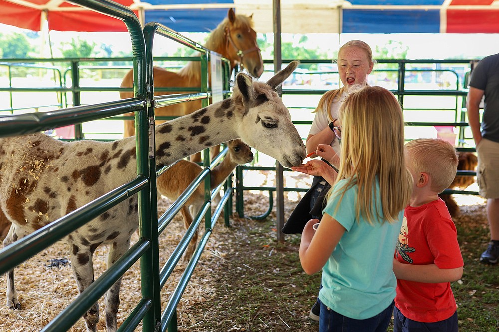 Thrillville Fair at Camp Jordan Chattanooga Times Free Press