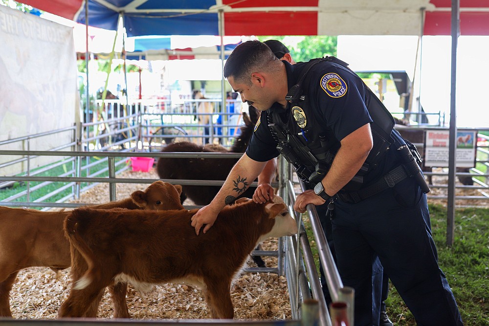 Thrillville Fair at Camp Jordan Chattanooga Times Free Press