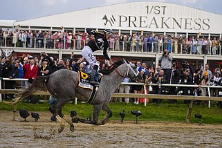 Jaime Torres, atop Seize The Grey, reacts after crossing the finish line to win the Preakness Stakes at Pimlico Race Course in Baltimore on Saturday, May 18, 2024. (AP/Julio Cortez)