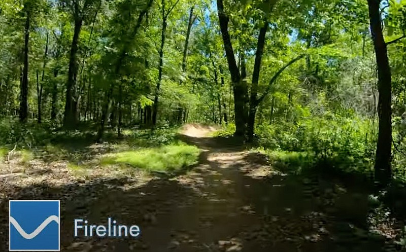 WATCH: NWA Trails - Fireline at Coler Mountain trail | Northwest ...