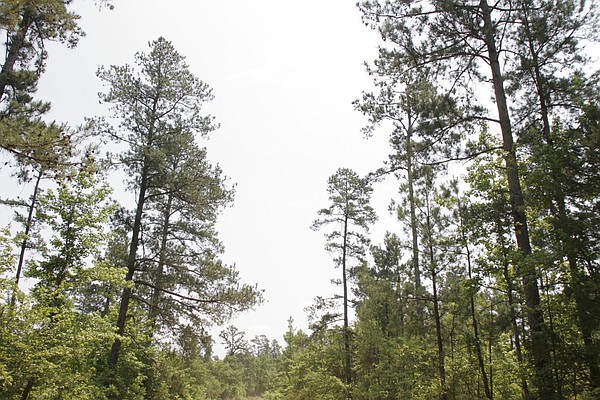 Conway company sells carbon credits | Northwest Arkansas Democrat-Gazette - Vimarsana News