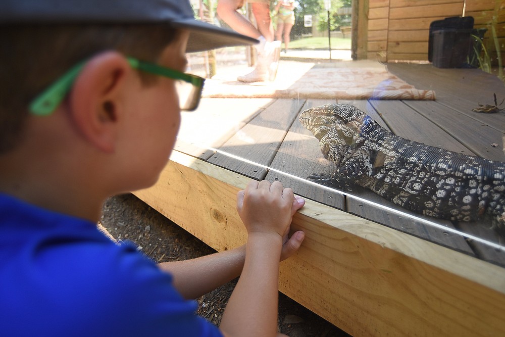 Chattanooga Zoo summer camp | Chattanooga Times Free Press